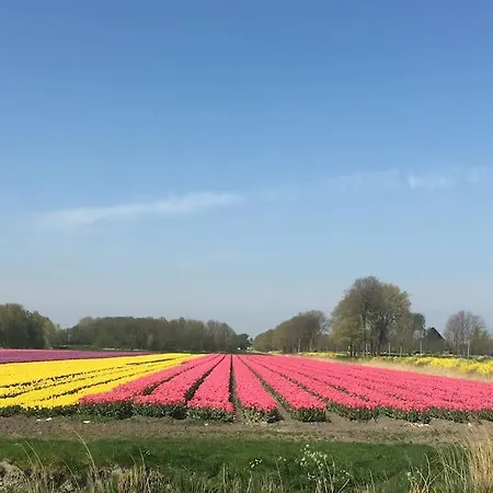 Villa Farmvilla With Hottub And Outdoor Kitchen *