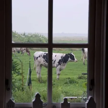 Farmvilla With Hottub And Outdoor Kitchen Villa *